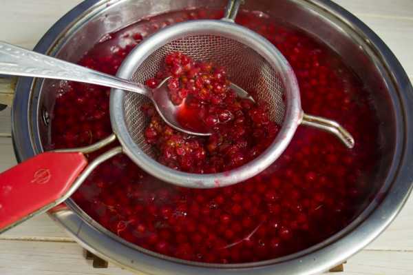 Redcurrant jam in a slow cooker Redmond, Panasonic, Polaris