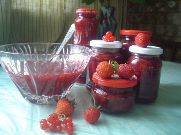 Redcurrant jam recipes: thick, with blueberries, apricots, lemon