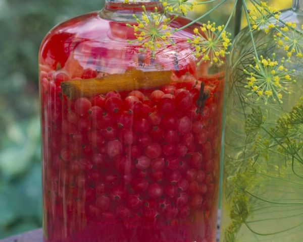 Redcurrant liqueur recipes