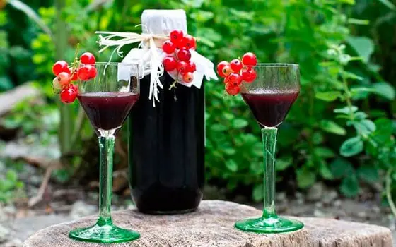 Redcurrant pouring at home