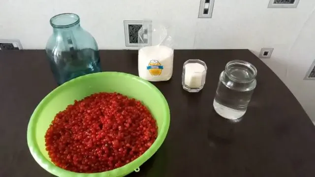 Redcurrant pouring at home