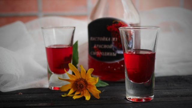 Redcurrant pouring at home