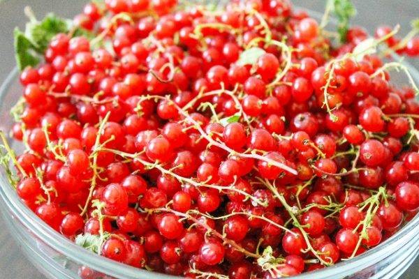 Redcurrant Sugar