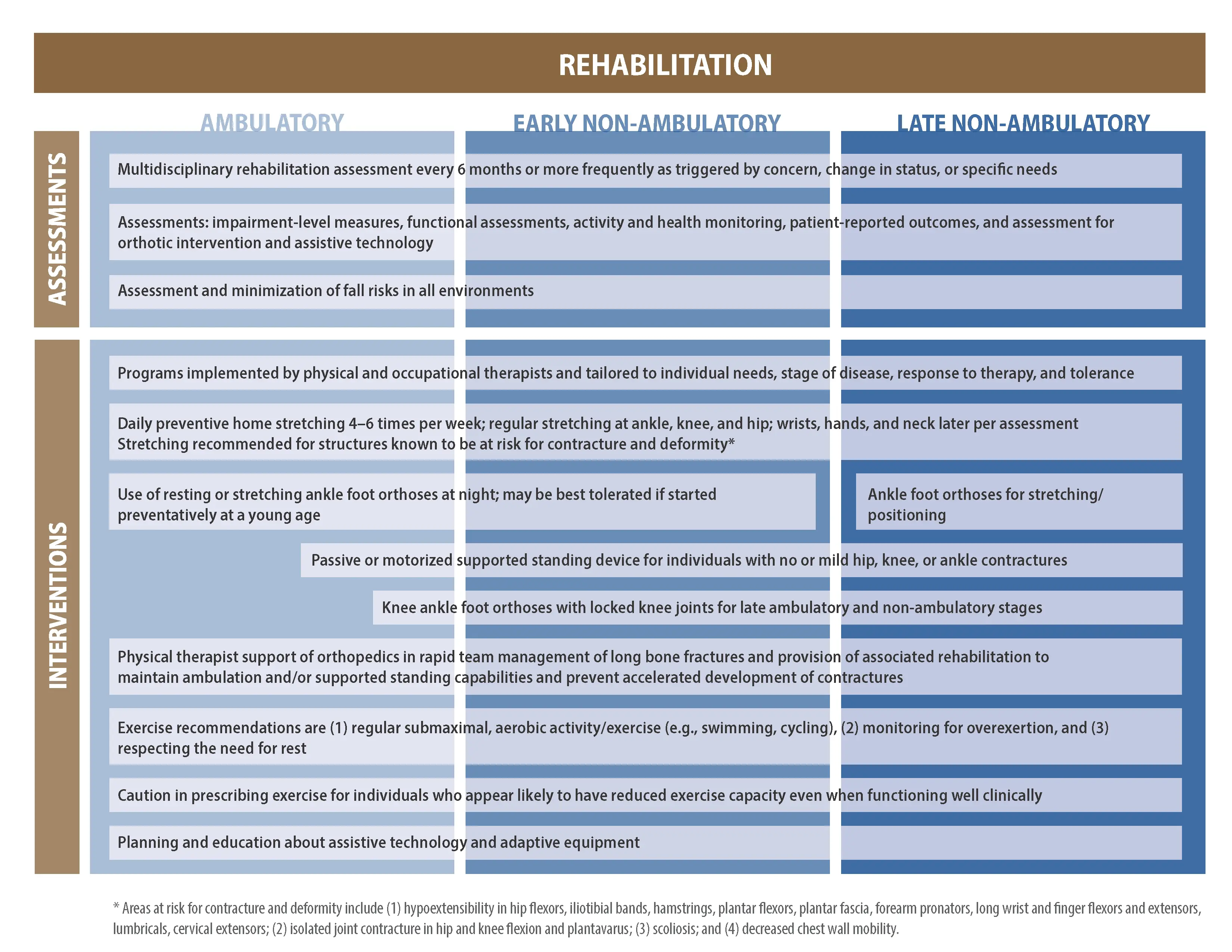 Rehabilitation &#8211; types and recommendations