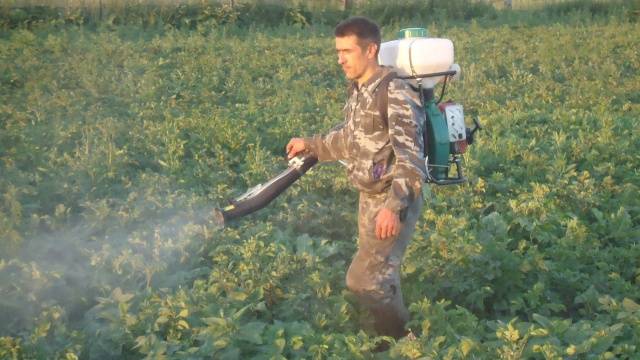 Remedy for the Colorado potato beetle Spark 