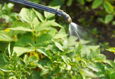 Remedy for the Colorado potato beetle Tanrek: reviews 