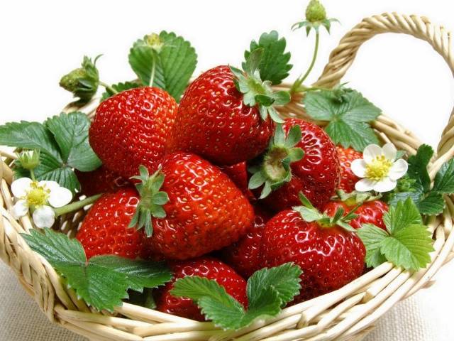 Remontant strawberries: cultivation and care