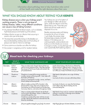 Renal profile &#8211; what is it, what tests does it involve, how to prepare? WE EXPLAIN