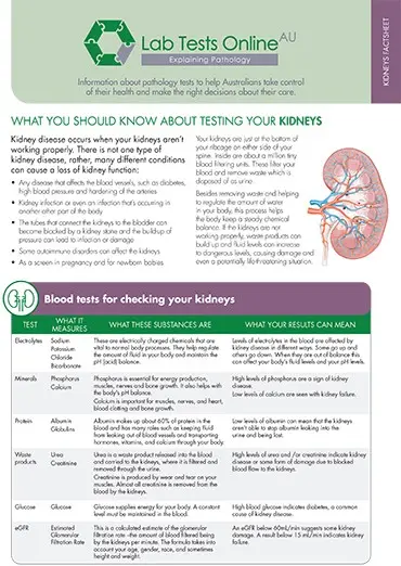 Renal profile &#8211; what is it, what tests does it involve, how to prepare? WE EXPLAIN