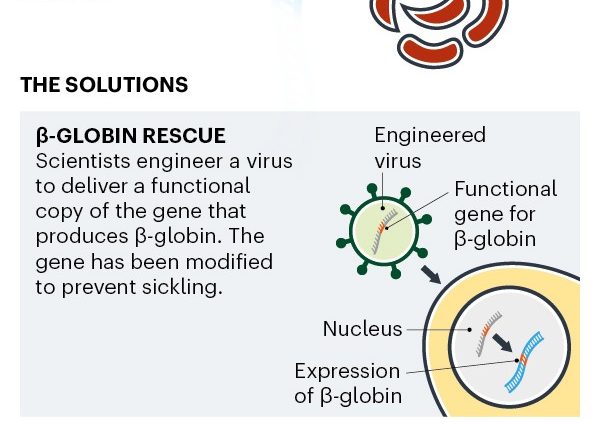 Rescue from your own blood. Will gene therapy revolutionize cancer treatment?