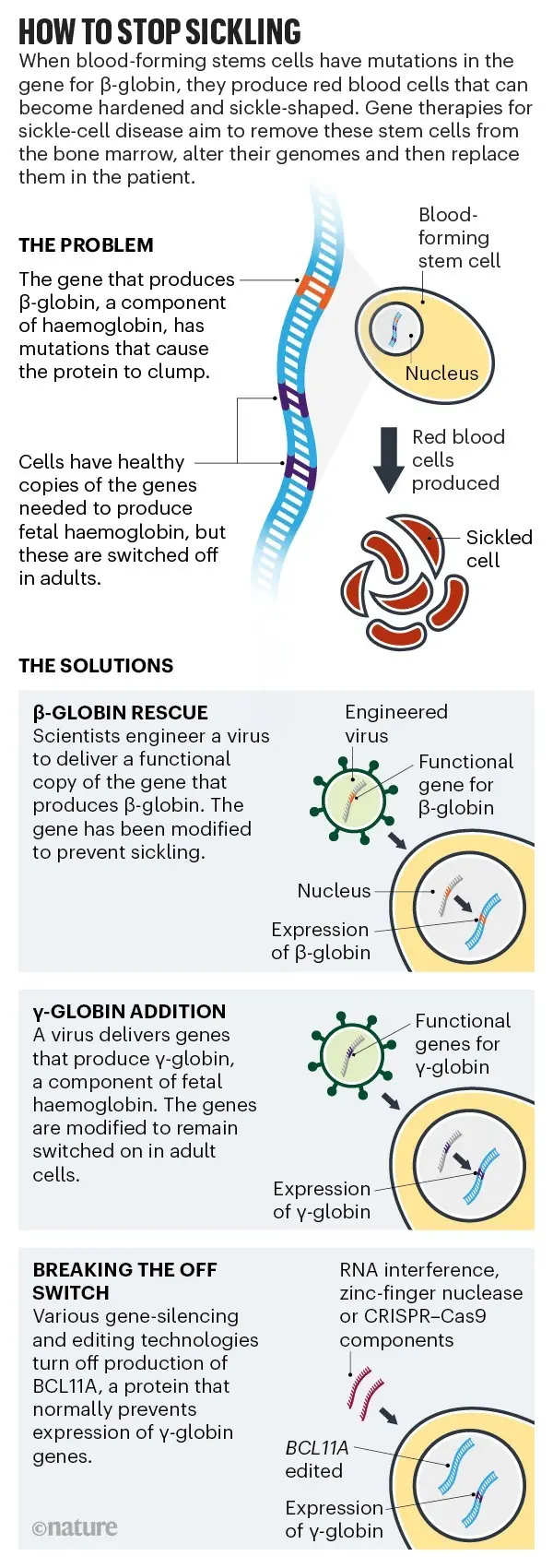 Rescue from your own blood. Will gene therapy revolutionize cancer treatment?