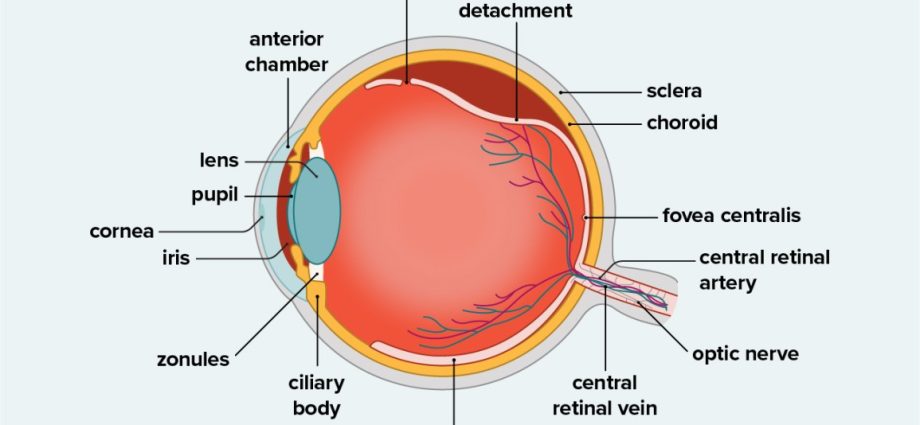 Retinal detachment &#8211; symptoms and treatment