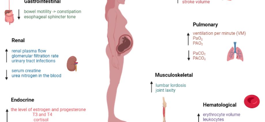 Retraction of the uterus &#8211; what is it? Is it dangerous for pregnant women? The expert replies