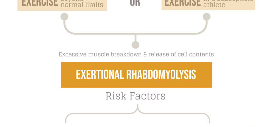 Rhabdomyolysis, or muscle breakdown &#8211; symptoms, treatment