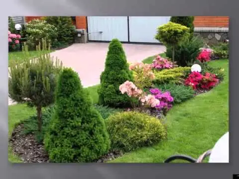 Rhododendrons in a garden landscape