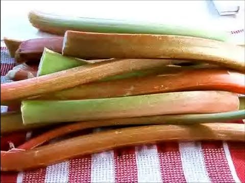 Rhubarb blanks for the winter: recipes for jam, marshmallow, juice, sauce, in syrup