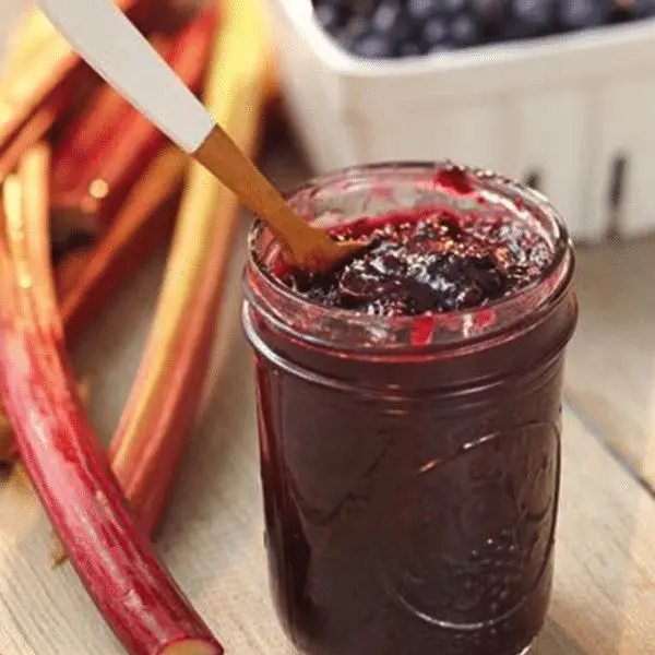 Rhubarb blanks for the winter: recipes for jam, marshmallow, juice, sauce, in syrup