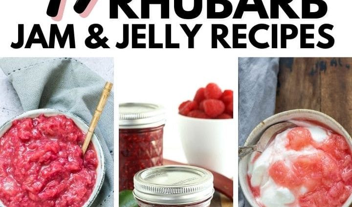 Rhubarb jam, delicious recipes for winter puree and jelly