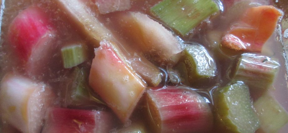 Rhubarb kvass: 8 recipes