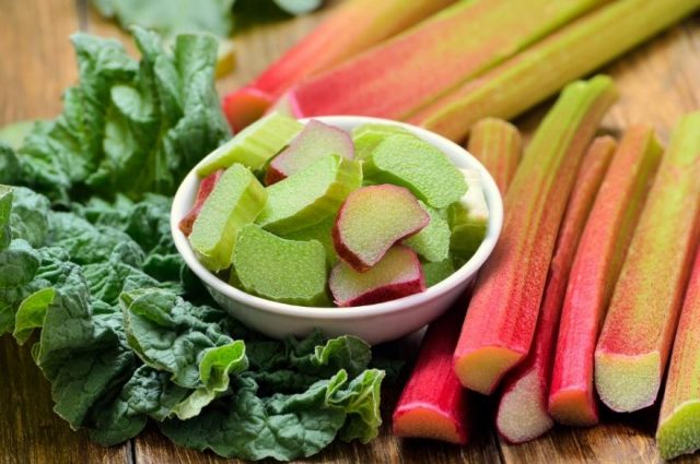 Rhubarb: useful properties and contraindications of stems, leaves, roots