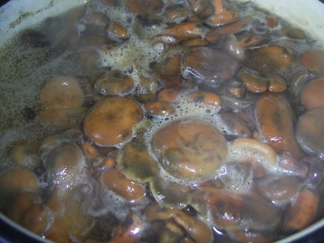 Rice soup: mushroom recipes with photos