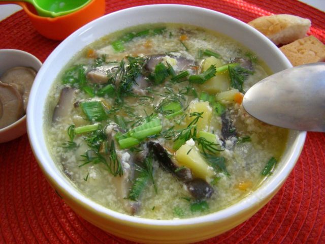 Rice soup: mushroom recipes with photos