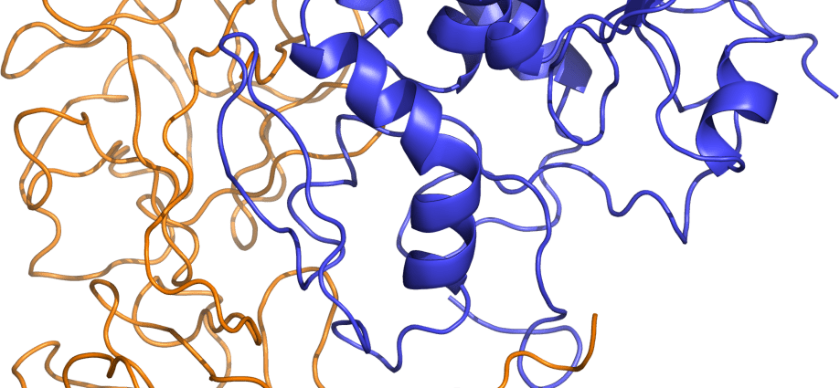 Ricin &#8211; a poison stronger than cyanide. What are the symptoms of ricin poisoning?