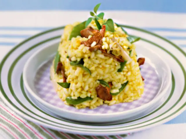 Risotto with chanterelles: recipes with photos