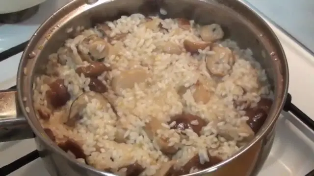 Risotto with porcini mushrooms: recipes with photos