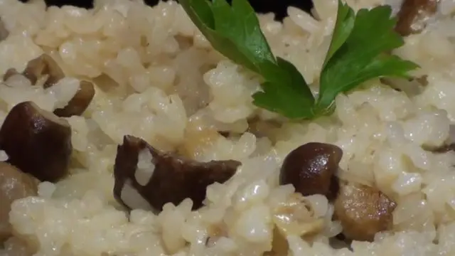 Risotto with porcini mushrooms: recipes with photos