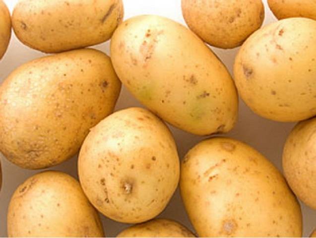 Riviera potato variety: characteristics, reviews