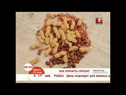 Roasted peanuts: benefits and harms for men and women