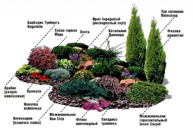 Rock garden on the site &#8211; choose, design and decorate yourself