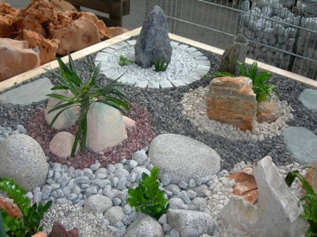 Rock garden on the site &#8211; choose, design and decorate yourself