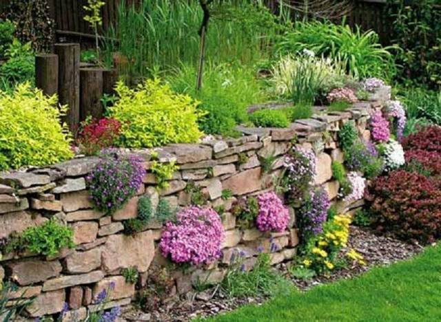 Rock garden on the site &#8211; choose, design and decorate yourself