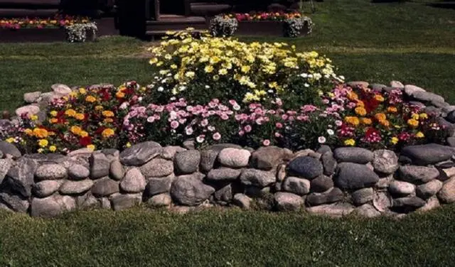 Rock garden on the site &#8211; choose, design and decorate yourself