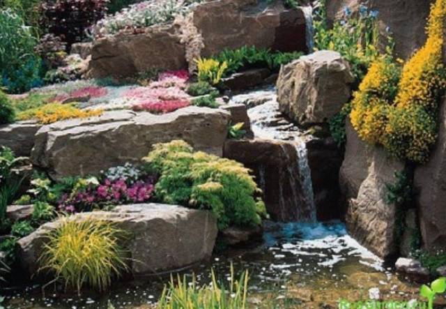 Rock garden on the site &#8211; choose, design and decorate yourself