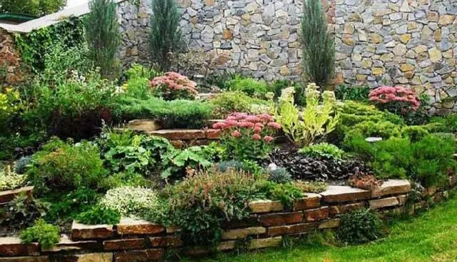 Rock garden on the site &#8211; choose, design and decorate yourself