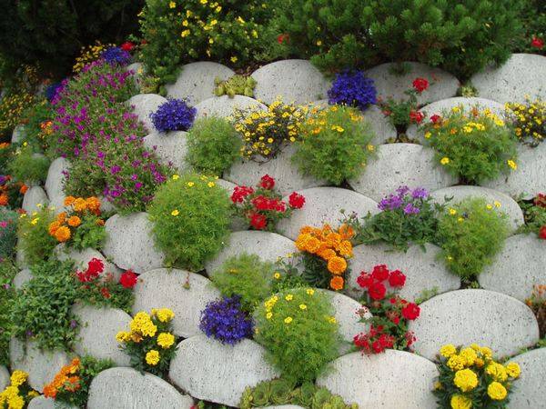 Rockeries in landscape design + photo