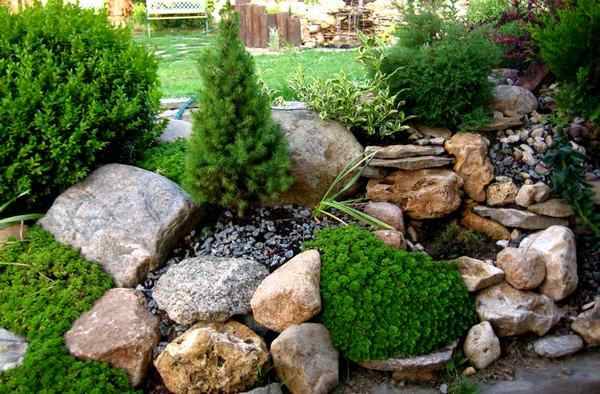 Rockeries in landscape design + photo