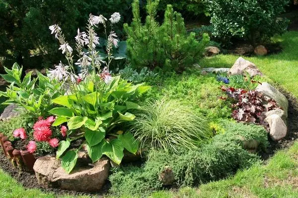 Rockeries in landscape design + photo