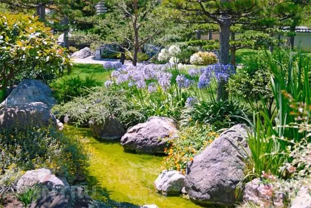 Rockeries in landscape design + photo