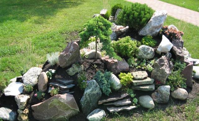 Rockeries in landscape design + photo