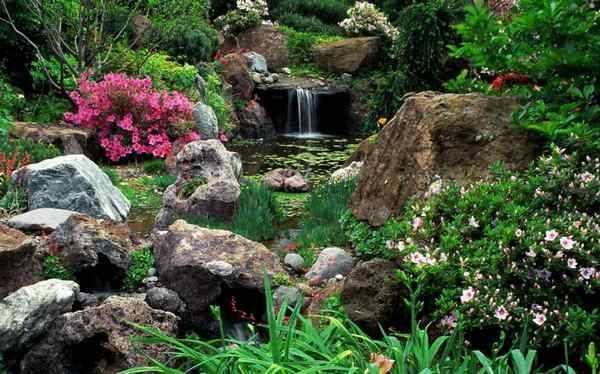 Rockeries in landscape design + photo