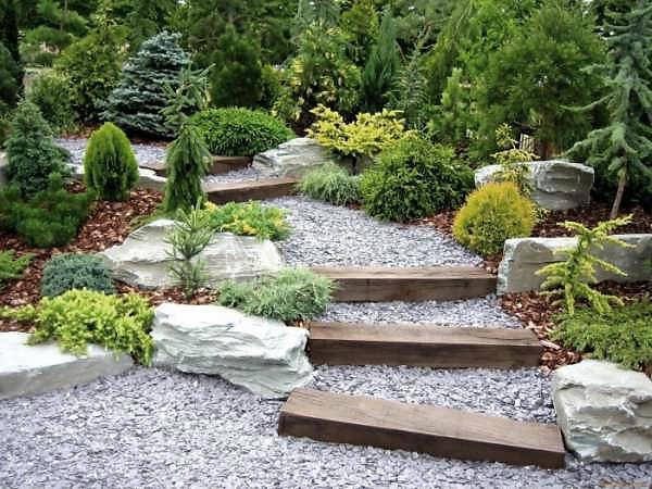 Rockery from conifers: photo, creation