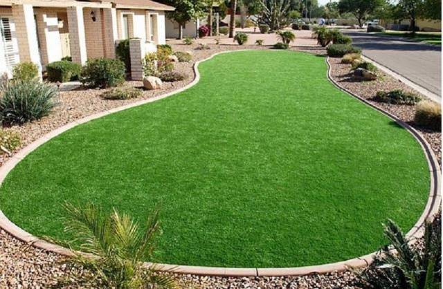 Rolled lawn on the site &#8211; advantages and types