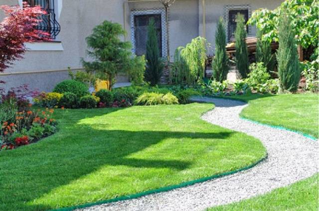 Rolled lawn on the site &#8211; advantages and types