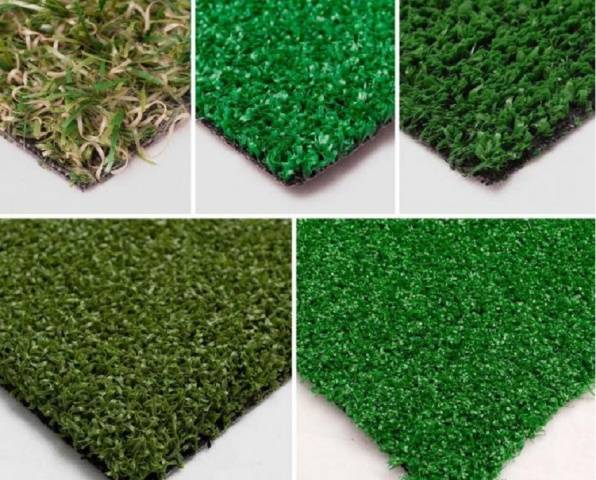 Rolled lawn on the site &#8211; advantages and types