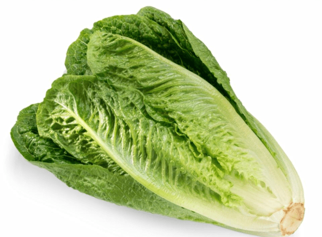 Romaine lettuce (romaine): useful properties, cultivation, variety description, photo, reviews