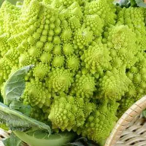 Romanesco cabbage: history, description, composition, useful and dangerous properties + planting, growing, collecting and storing a vegetable